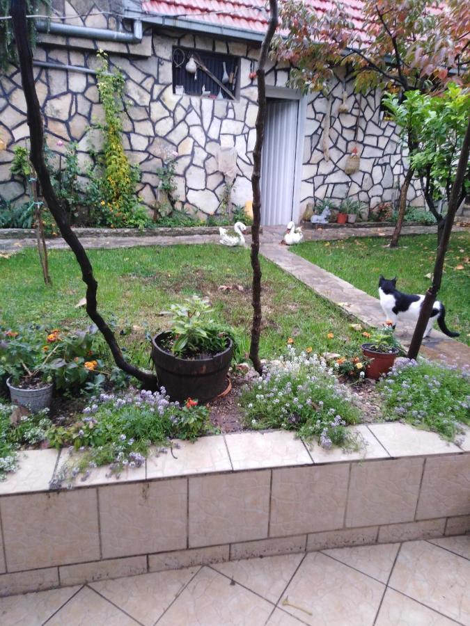 Stolac Janina Hisa 아파트 외부 사진